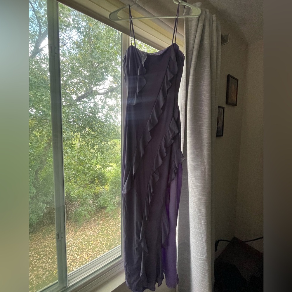 Hello Molly Purple Dress Worn Once